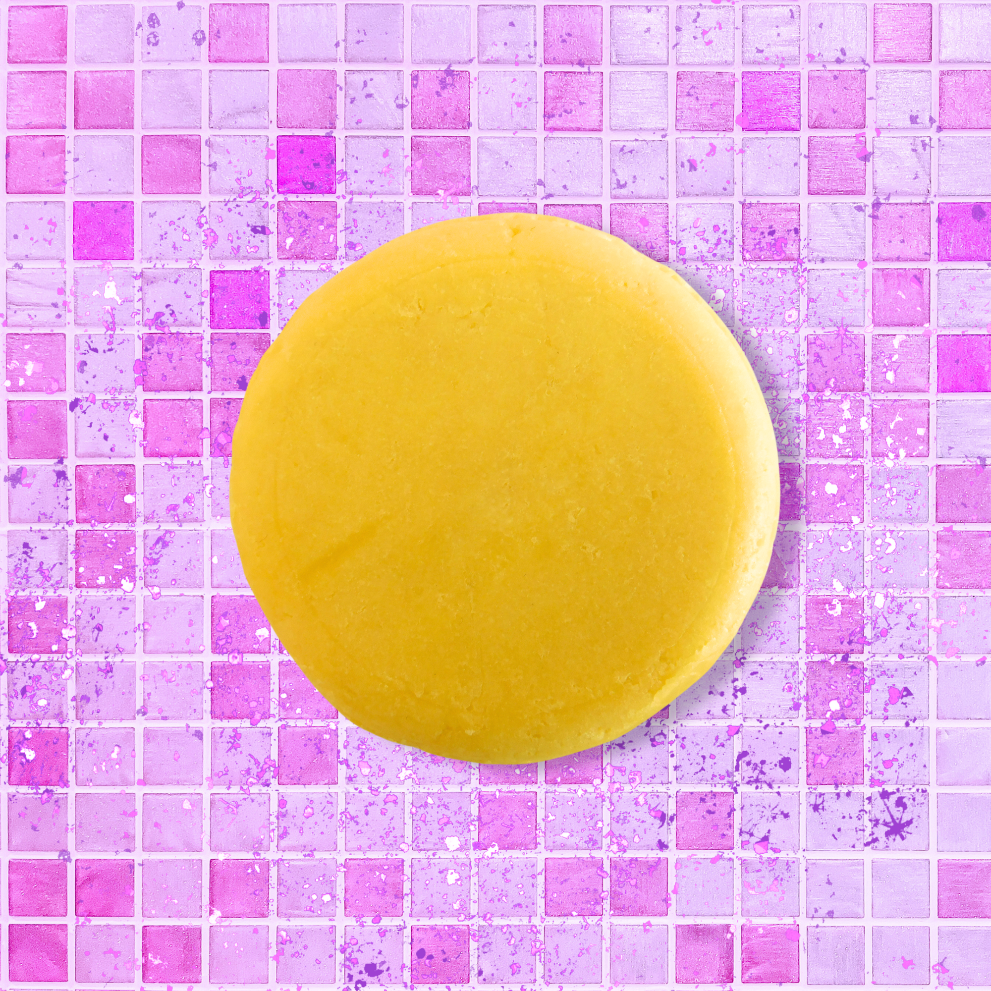 Rich B*tch Shampoo Bar